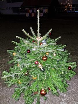 PRAZNIČNA OBČINA ŠKOFLJICA: lokalne skupnosti so okrasile smrečice v drevoredu pri zunanjem igrišču OŠ Škofljica